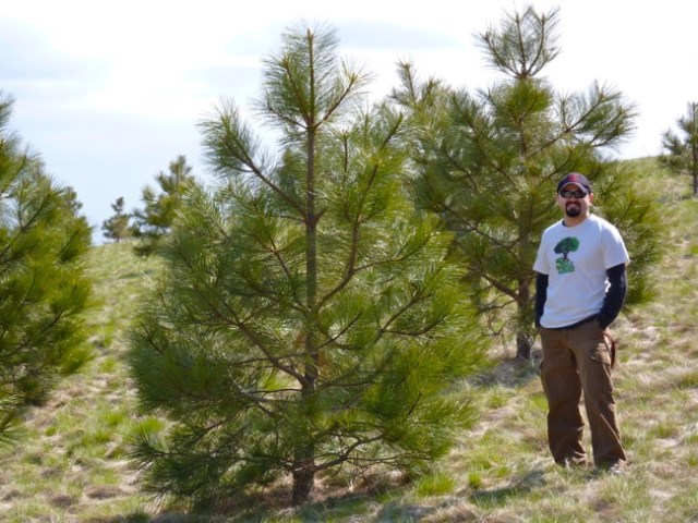 Erim Gomez with Ponderosa Pine Trees