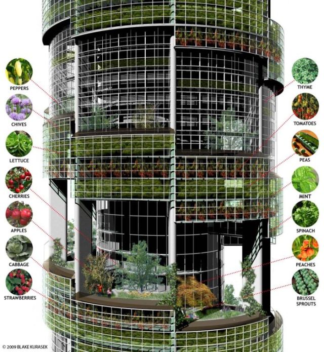 vertical farm vegetables Vertical farm vegetables